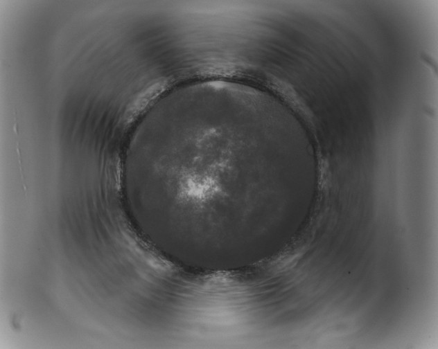 X0000102240068200808081446