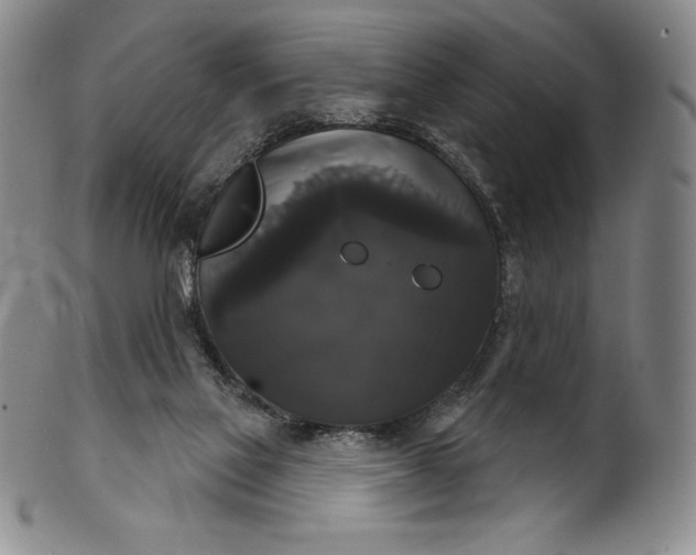 X0000102240069200808081446