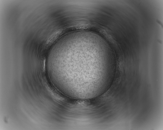 X0000102240070200808081446