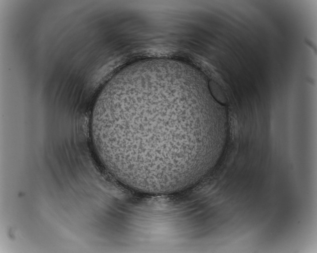 X0000102240071200808081446