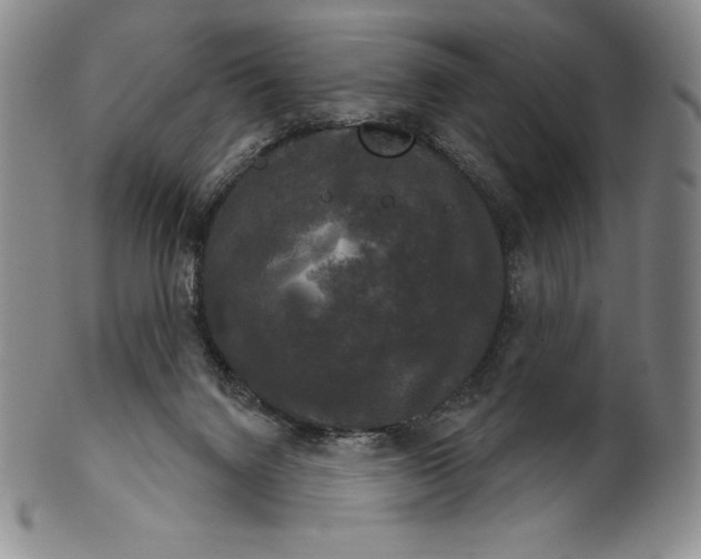 X0000102240072200808081446