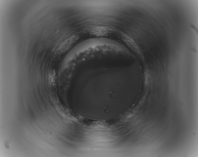 X0000102240073200808081446