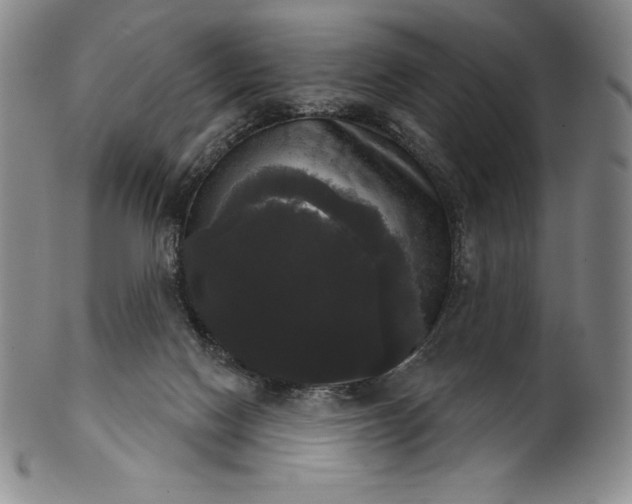 X0000102240074200808081446