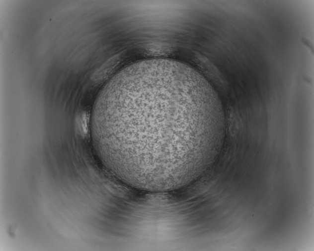 X0000102240075200808081446