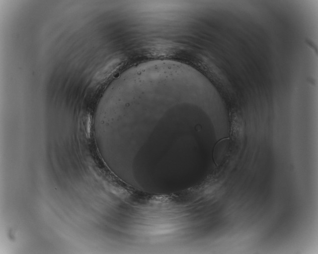 X0000102240076200808081446