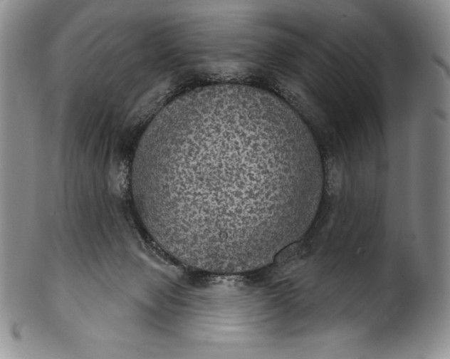 X0000102240077200808081446