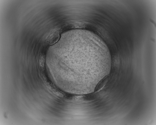 X0000102240078200808081446