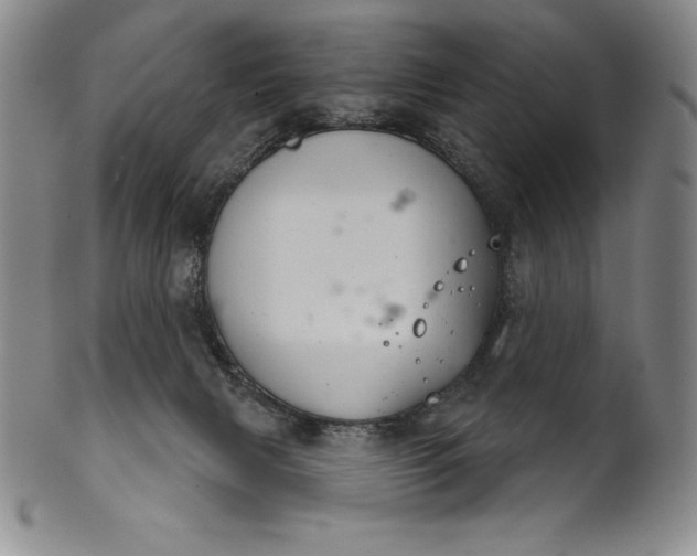 X0000102240079200808081446