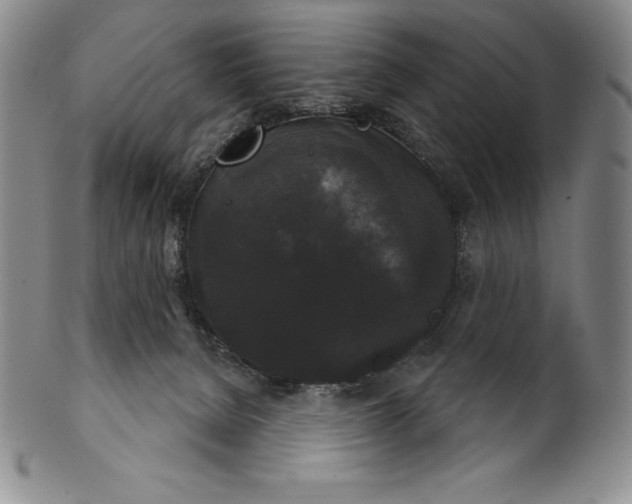 X0000102240080200808081446