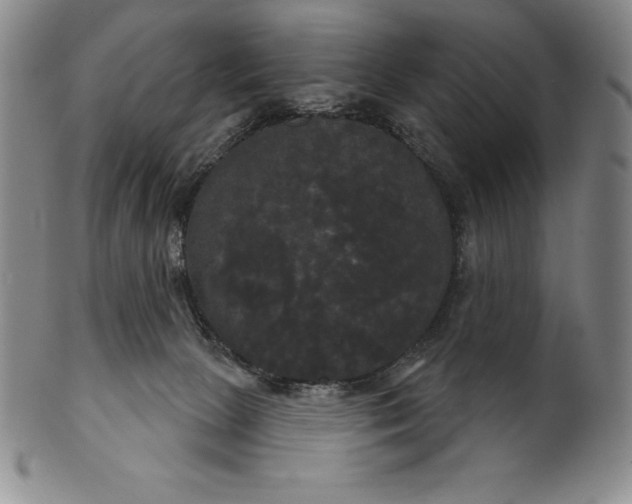 X0000102240081200808081446