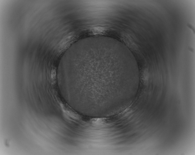 X0000102240082200808081446