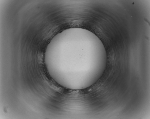 X0000102240083200808081446