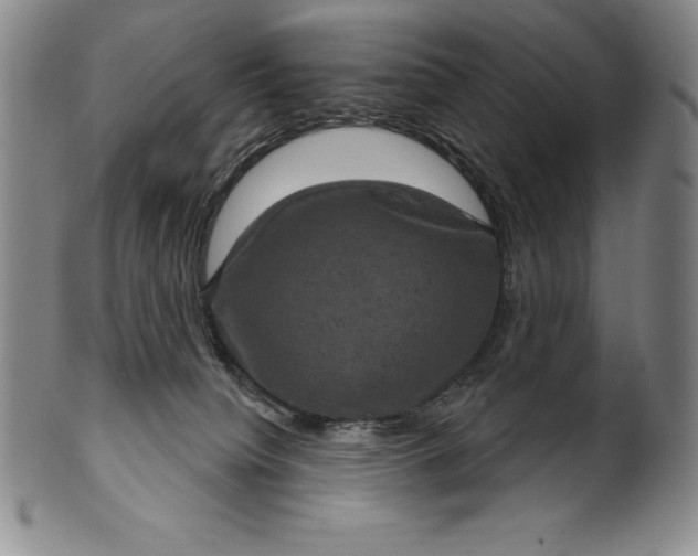 X0000102240084200808081446