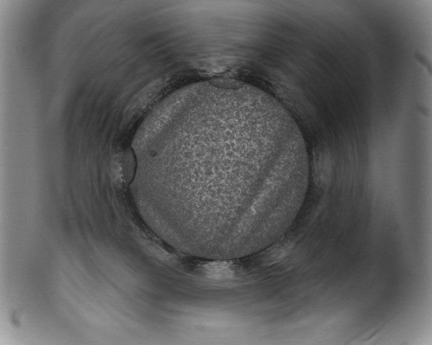 X0000102240085200808081446