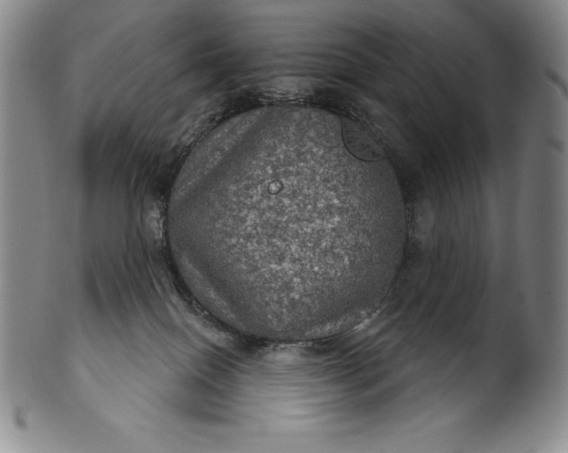 X0000102240086200808081446