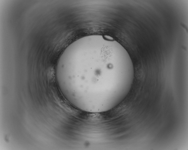 X0000102240087200808081446