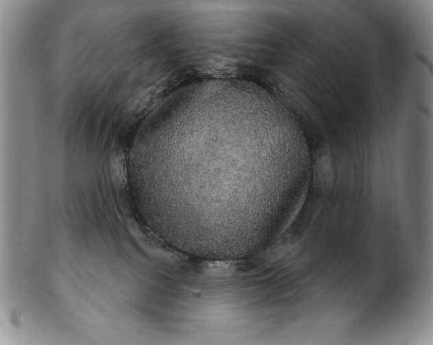 X0000102240088200808081446