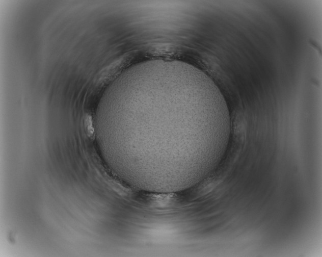 X0000102240089200808081446