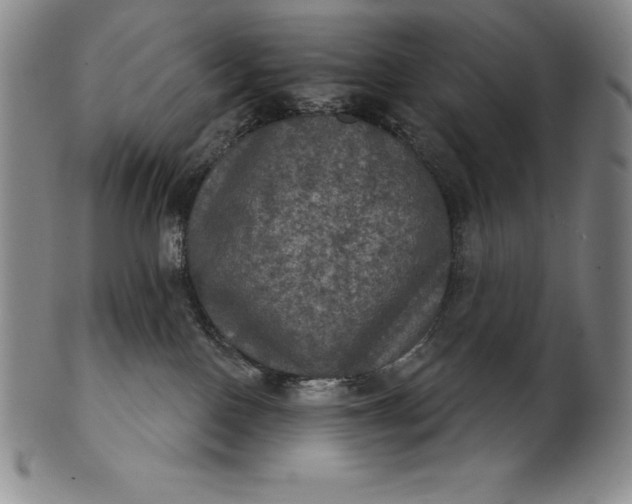 X0000102240090200808081446