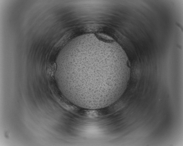 X0000102240091200808081446