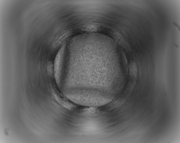 X0000102240092200808081446