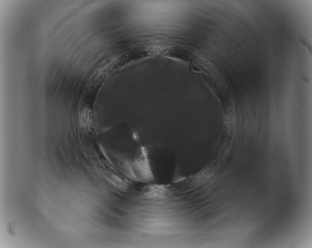 X0000102240093200808081446