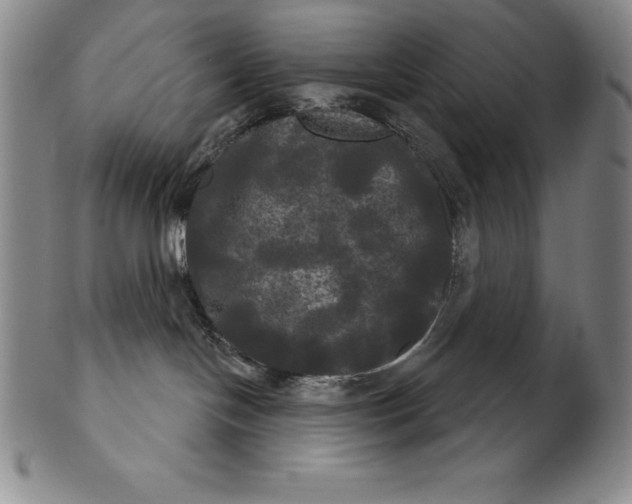 X0000102240094200808081446