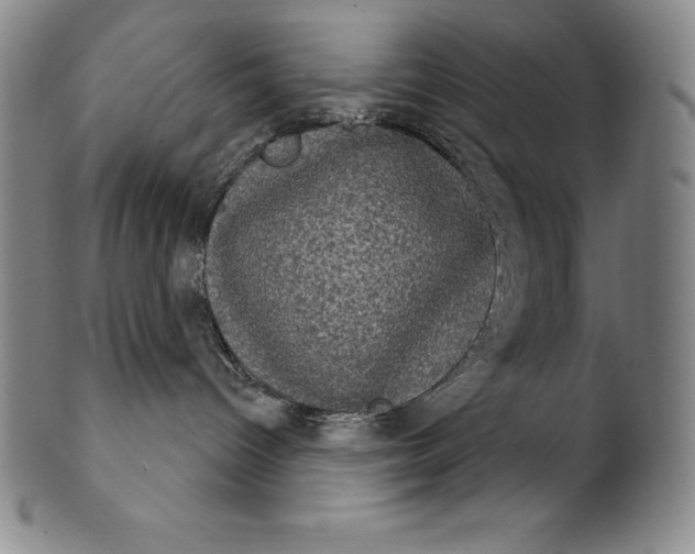 X0000102240096200808081446