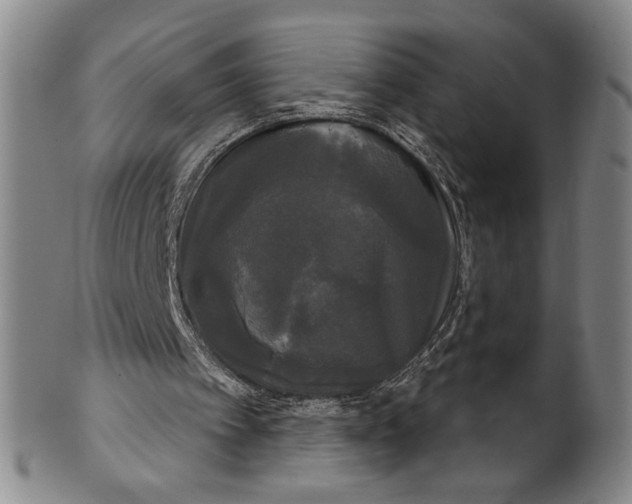 X0000102240097200808081445