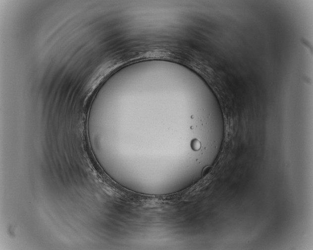 X0000102240098200808081445