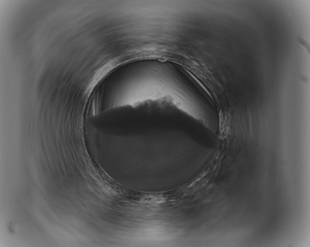 X0000102240099200808081445