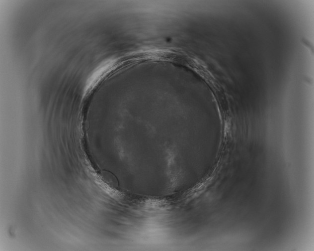 X0000102240101200808081445