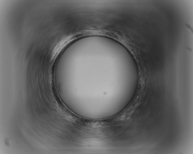 X0000102240103200808081445