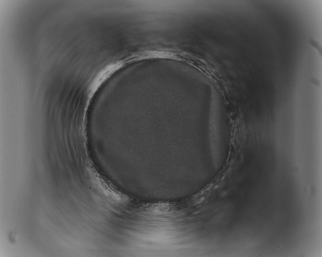 X0000102240104200808081445