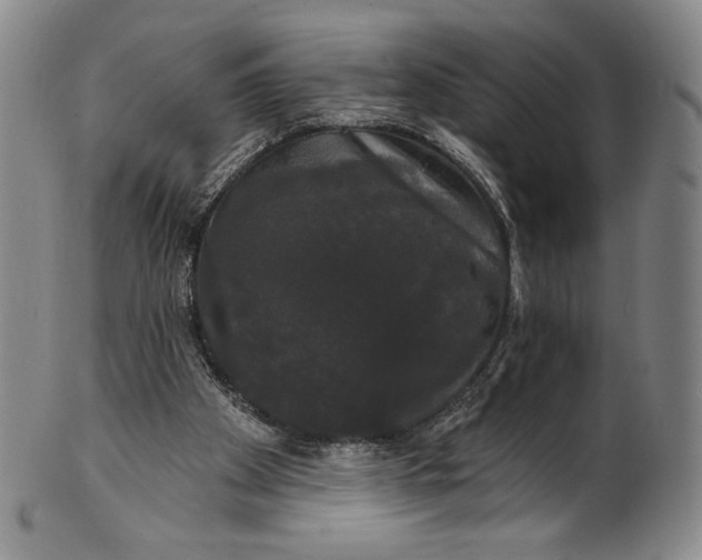 X0000102240105200808081445