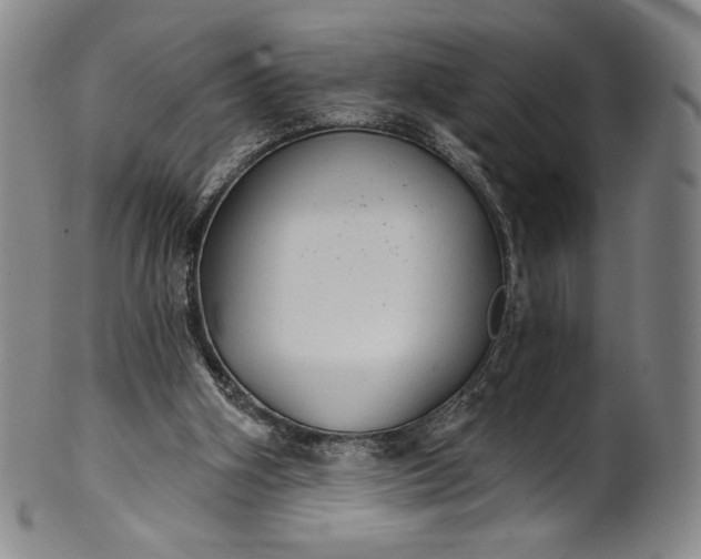 X0000102240106200808081445