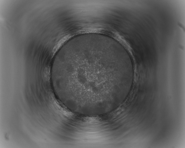 X0000102240107200808081445