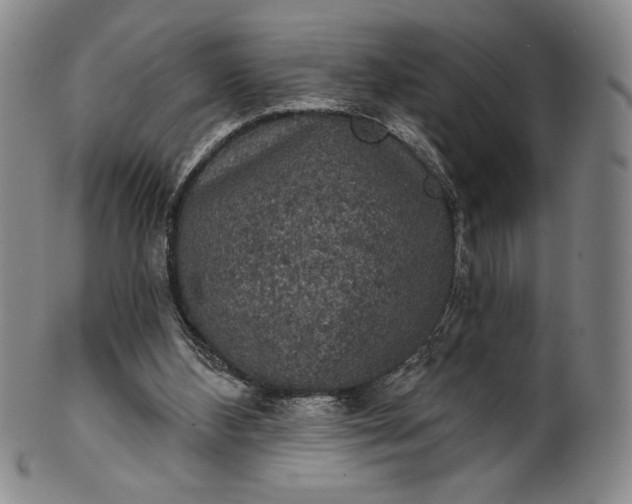 X0000102240108200808081445