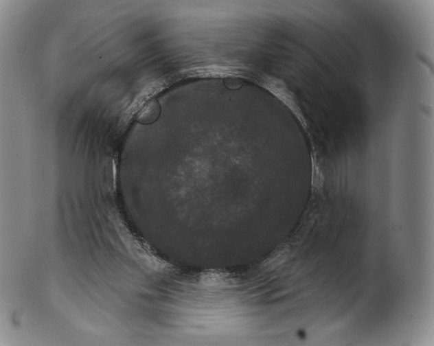 X0000102240109200808081445