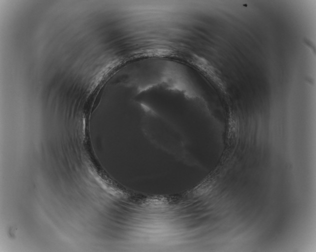 X0000102240110200808081445