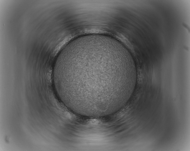 X0000102240111200808081445