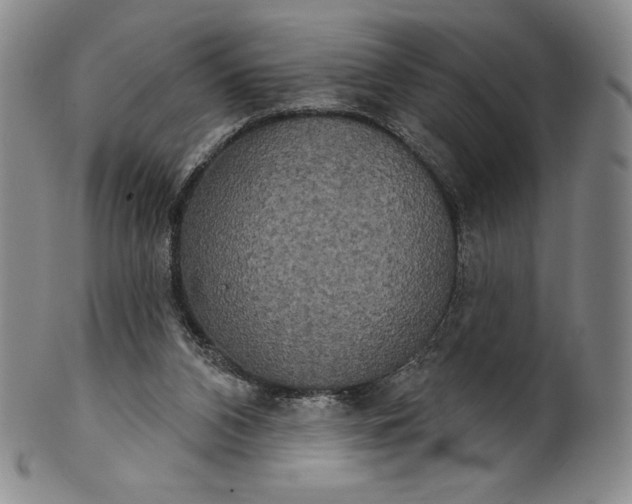 X0000102240112200808081445