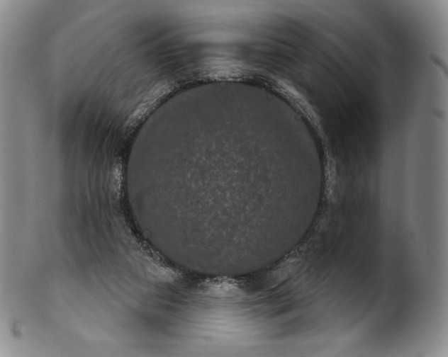 X0000102240113200808081445