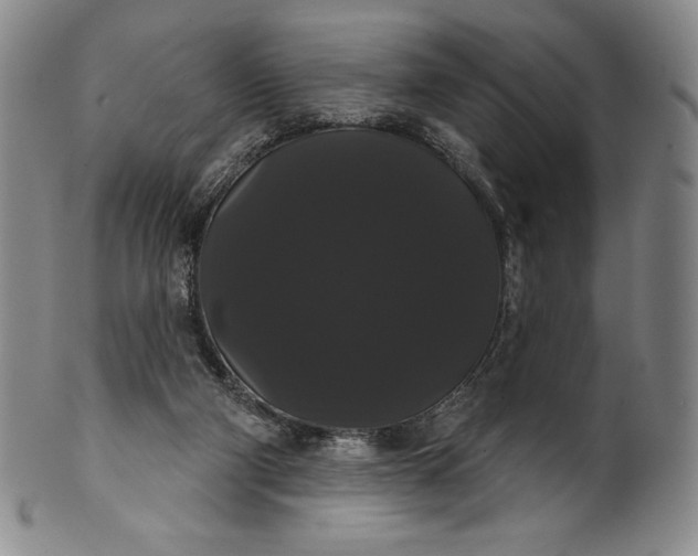 X0000102240114200808081445