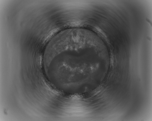 X0000102240115200808081445