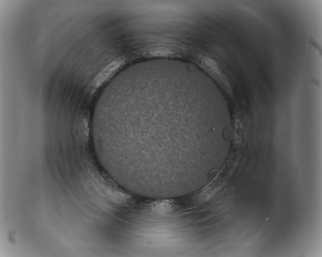 X0000102240116200808081445