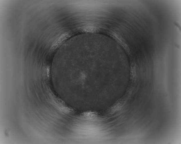 X0000102240117200808081445