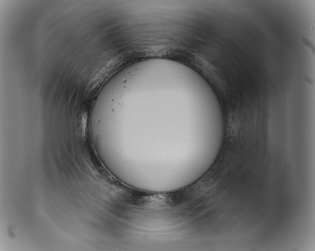 X0000102240118200808081445