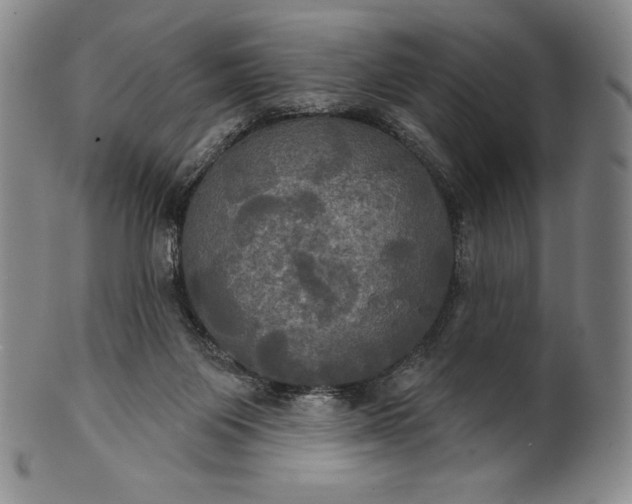 X0000102240119200808081445