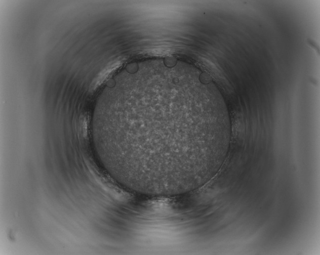 X0000102240120200808081445